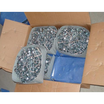 Factory Professional Roofing Nails from China Supplier